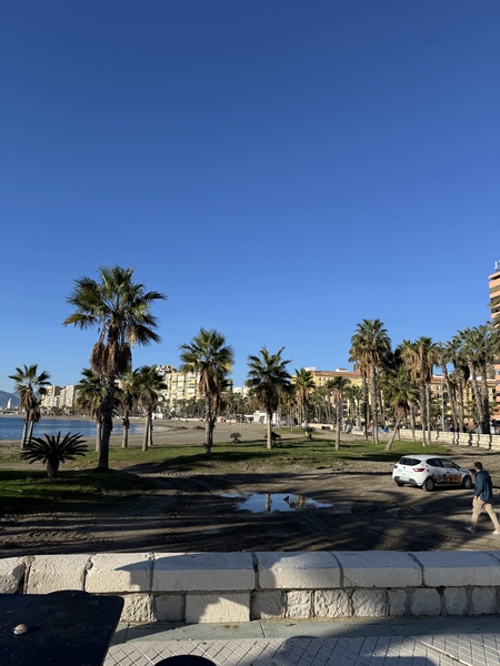 Malaga - palmy i słońce